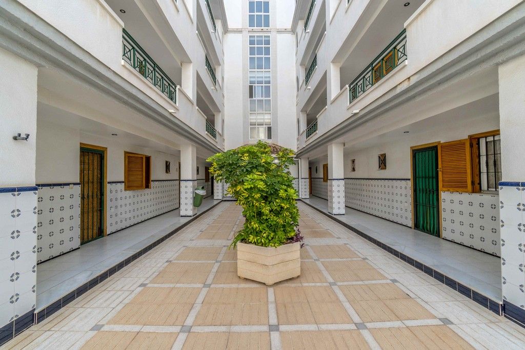 NICE GROUND FLOOR APARTMENT OVERLOOKING THE POOL AT RESIDENCIAL VIÑAMAR VI IN LA MATA BEACH. image 3