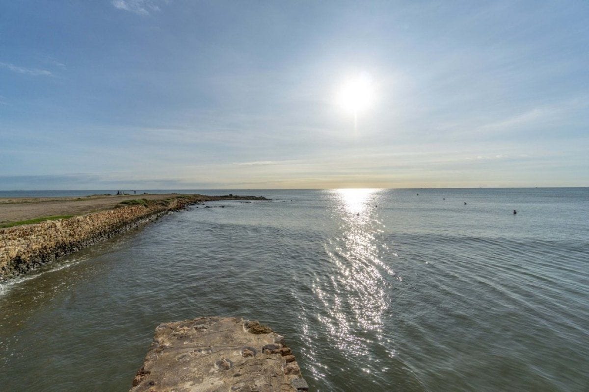 APARTMENT 1 BED IN LA MATA 250 FROM THE BEACH image 5