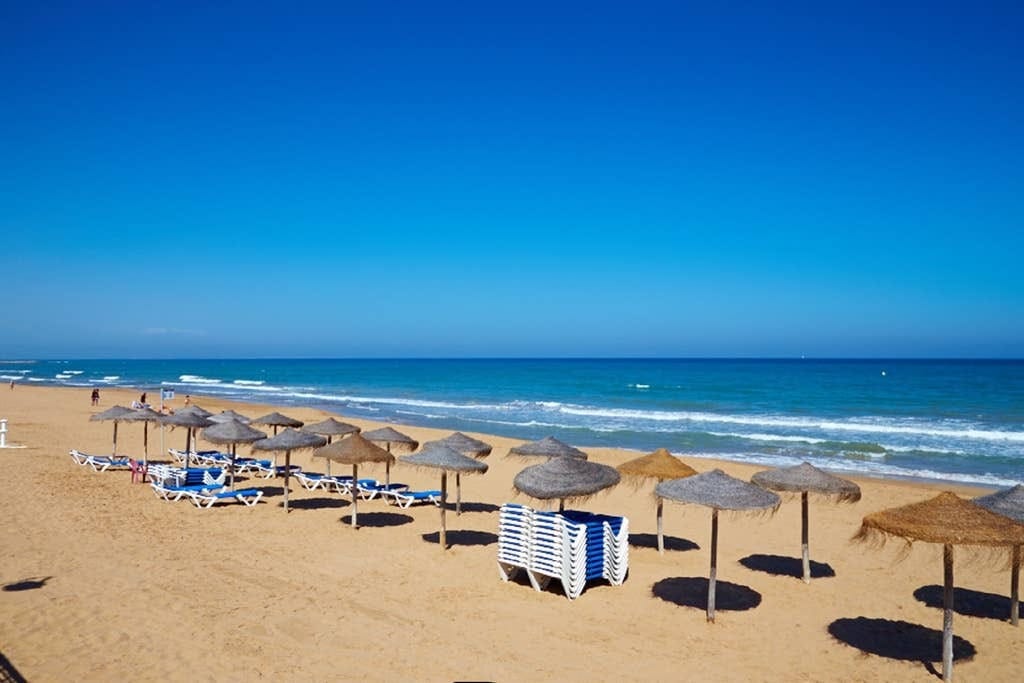 Nice apartment on La Mata Beach. photo 1