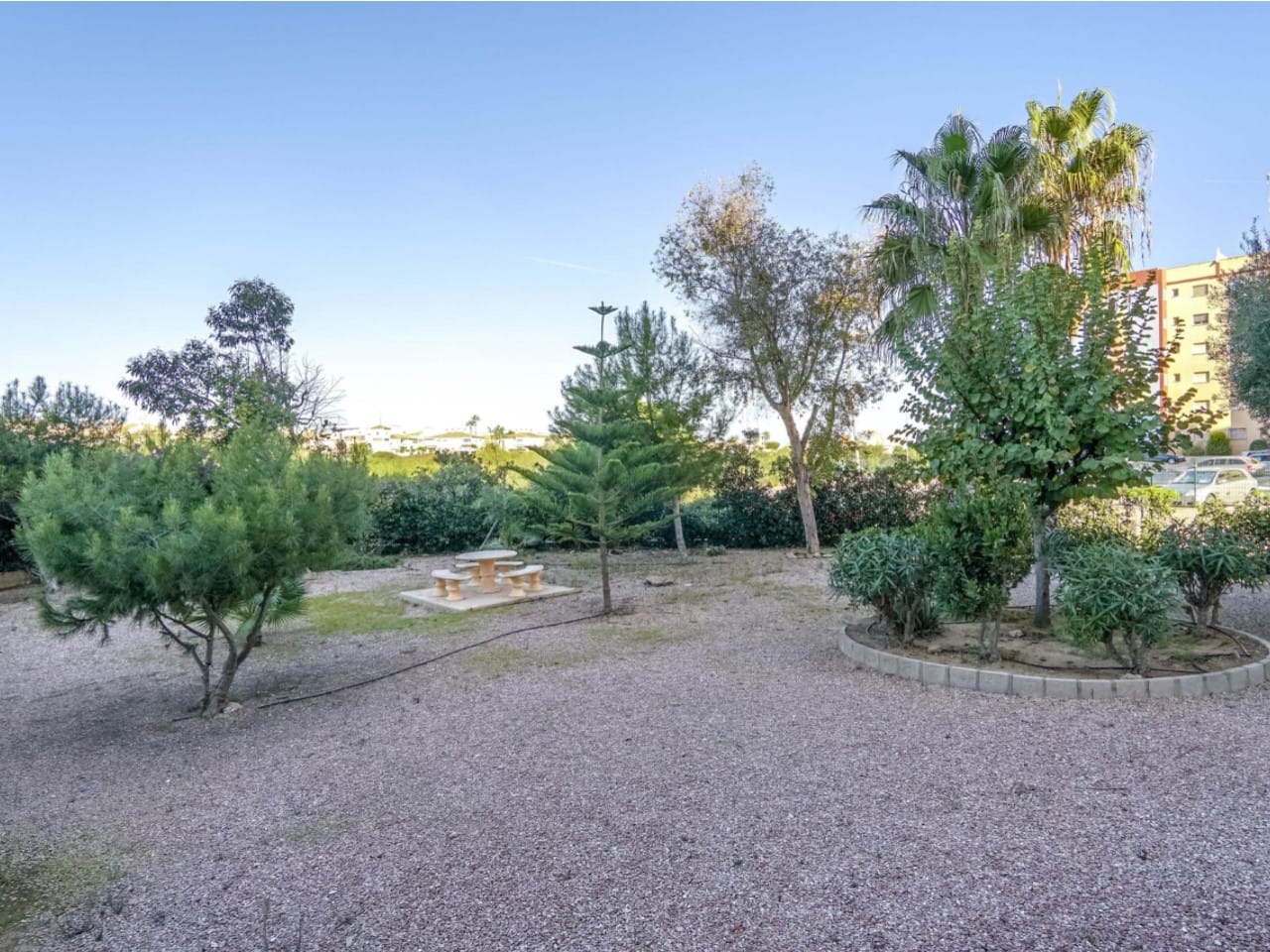 Torrevieja - La Mata image 3