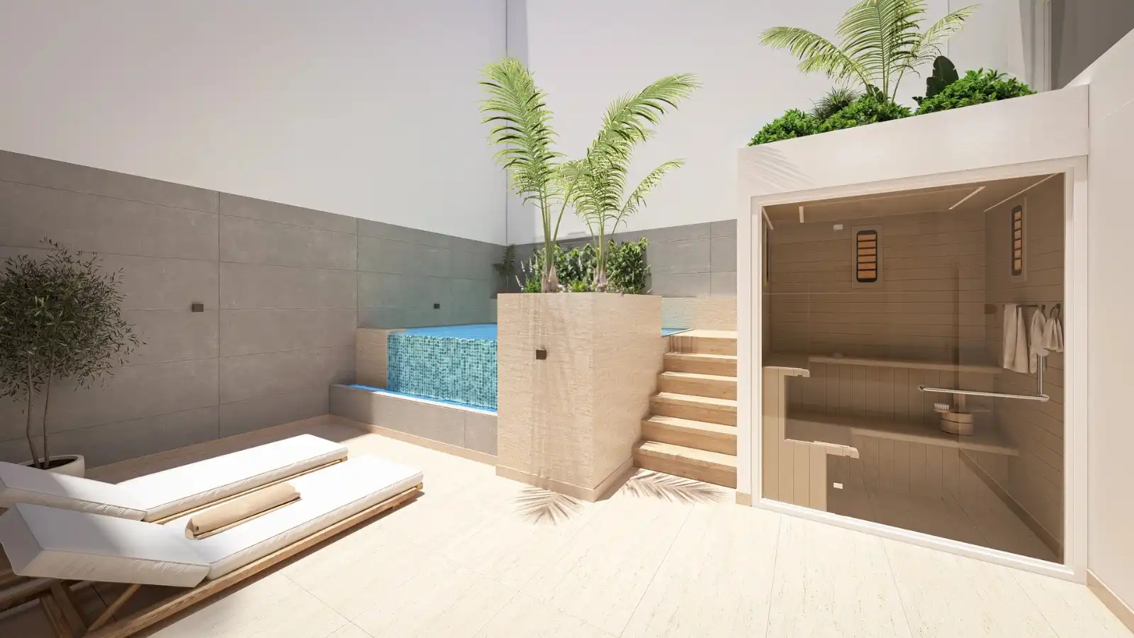 APARTMENT - Torrevieja C image 4