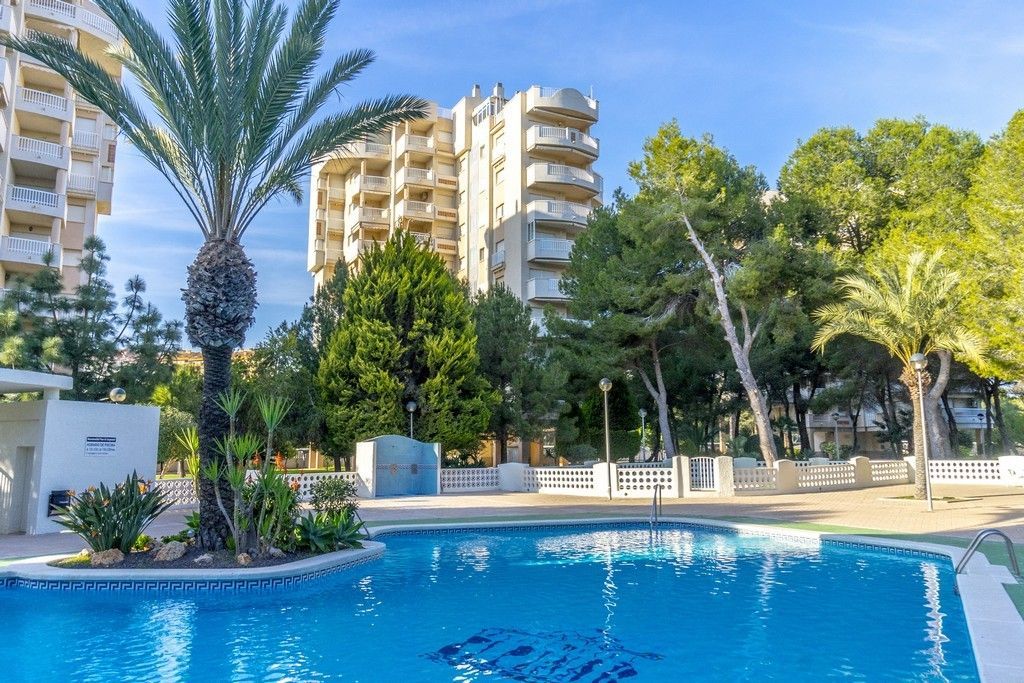 NICE APARTMENT 1 BEDROOM JUST 200 M FROM THE BEACH IN CAMPOAMOR image 5