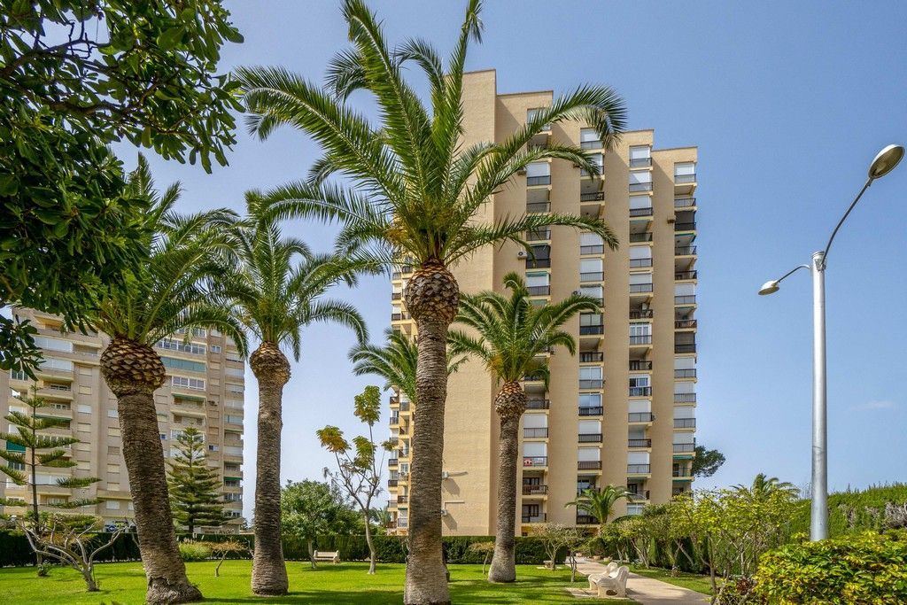 MODERN STUDIO WITH PANORAMIC SEA VIEWS IN CAMPOAMOR image 3