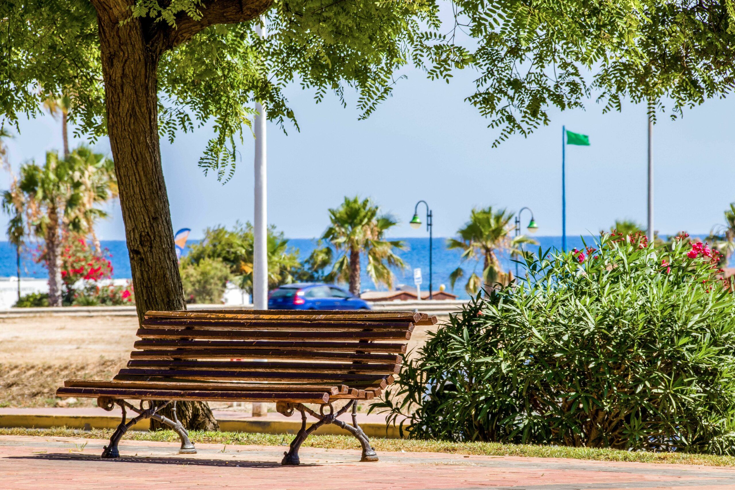 Duplex penthouse in Torrevieja image 2