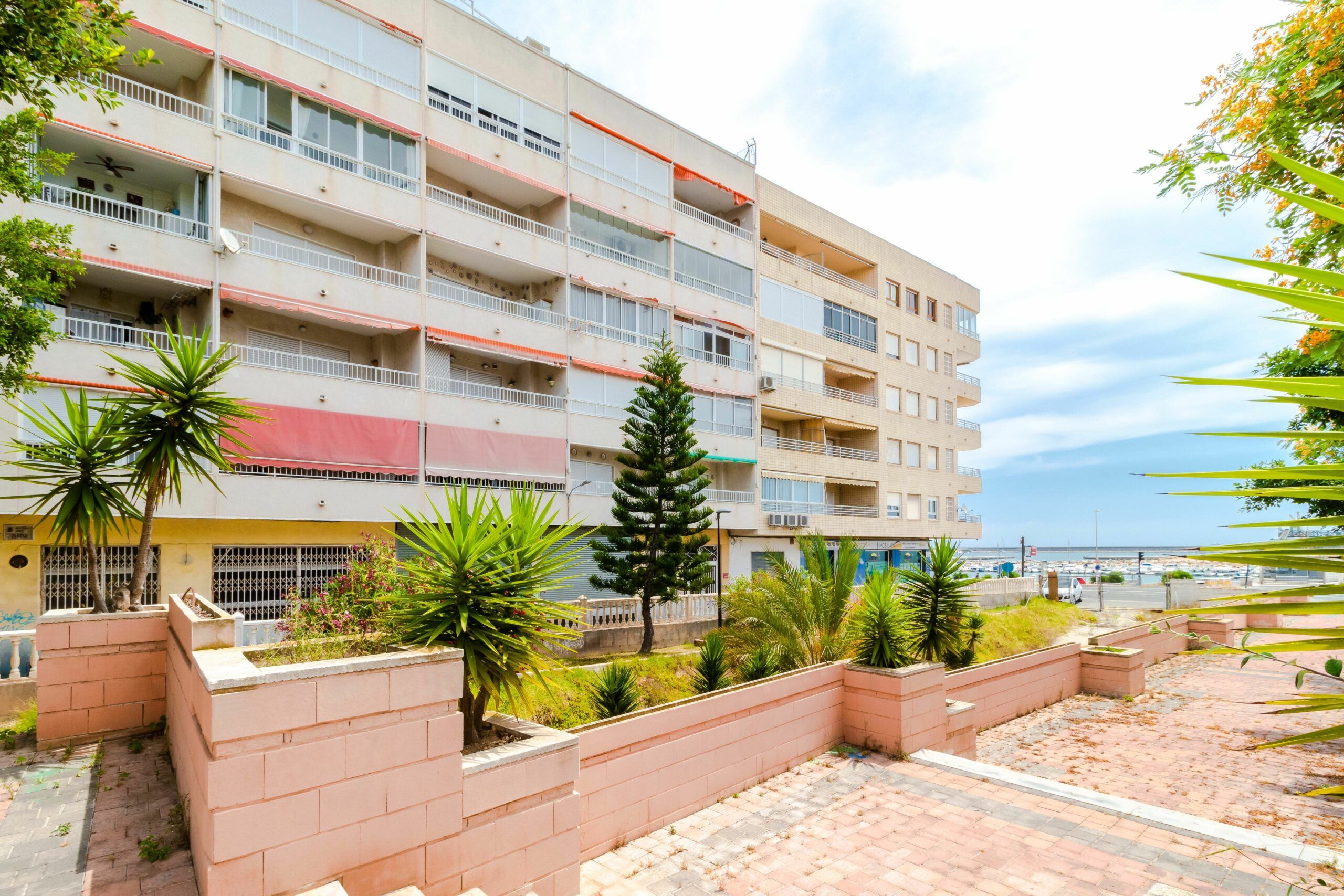 Duplex penthouse in Torrevieja image 3