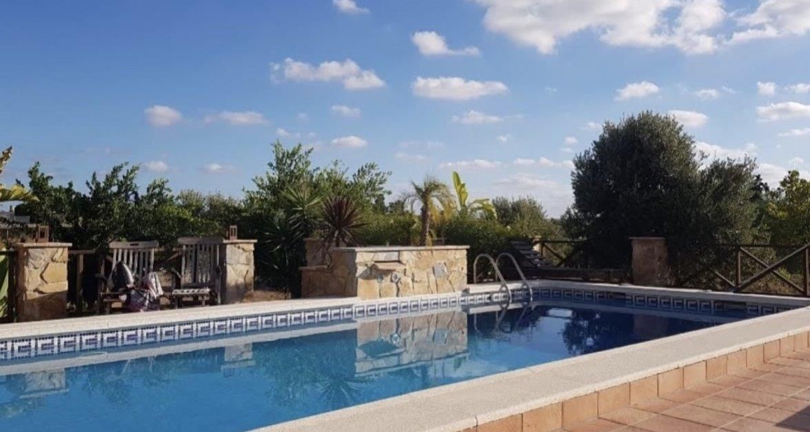 Beautiful renovated villa with big plot in Los Montesinos. image 4