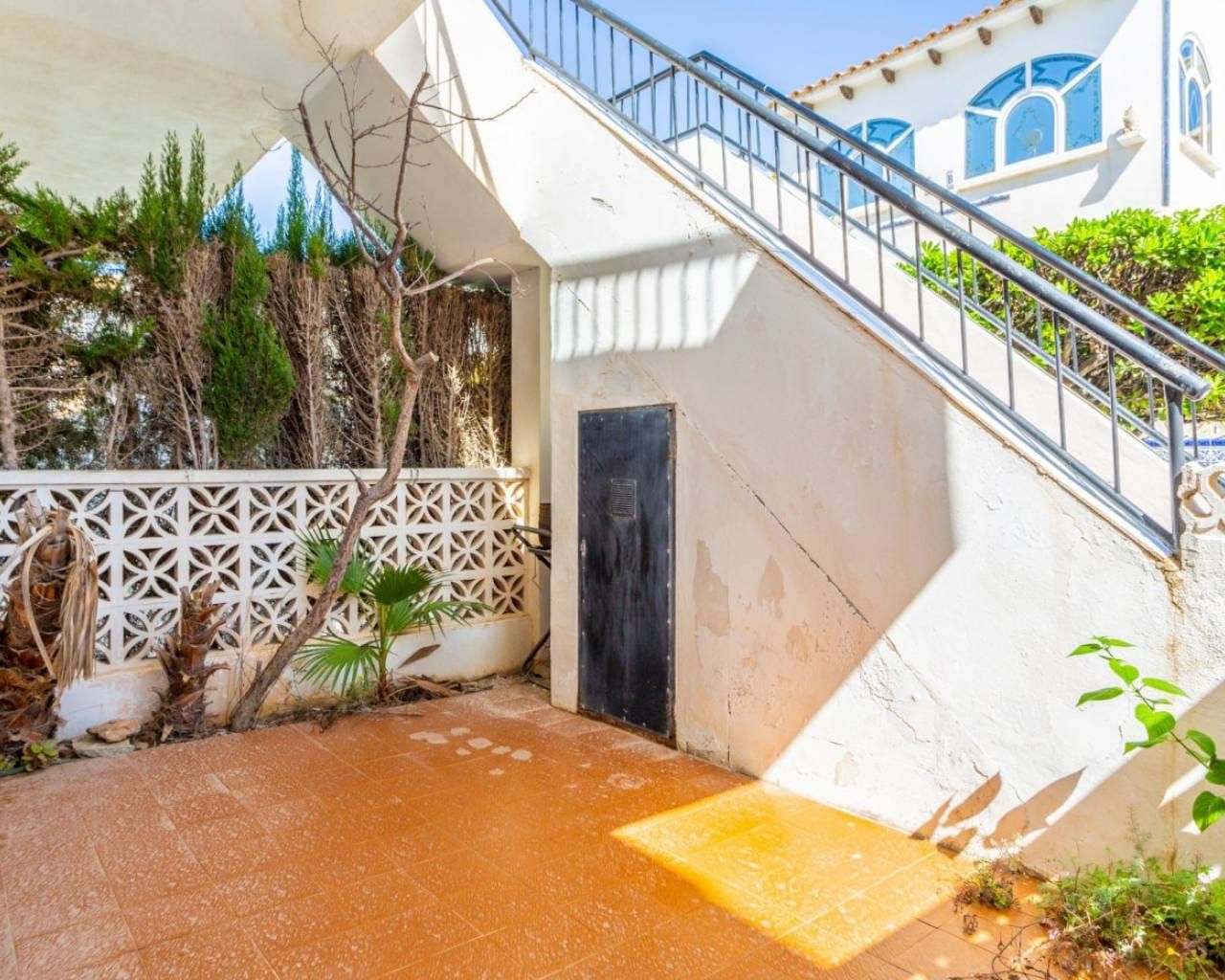 Torrevieja - La Mata image 5