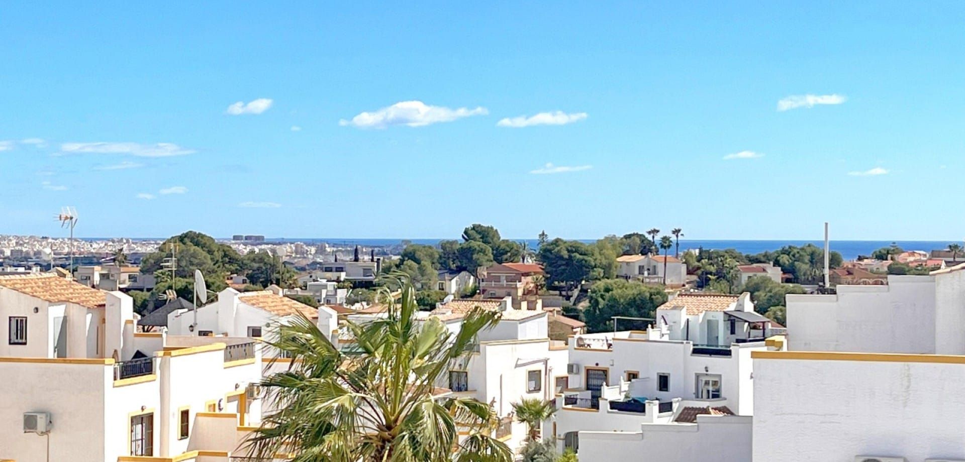 RENOVATED HOUSE WITH PRIVATE POOL AT DREAM HILLS, LOS ALTOS. image 4